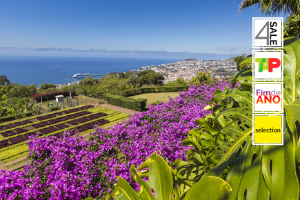selection-funchal-fim-de-ano-5-dias-4-noites-298_0.jpg
