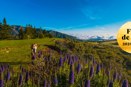 Madeira_rev-24-25